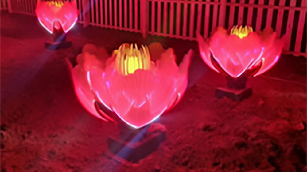鮮花怒放