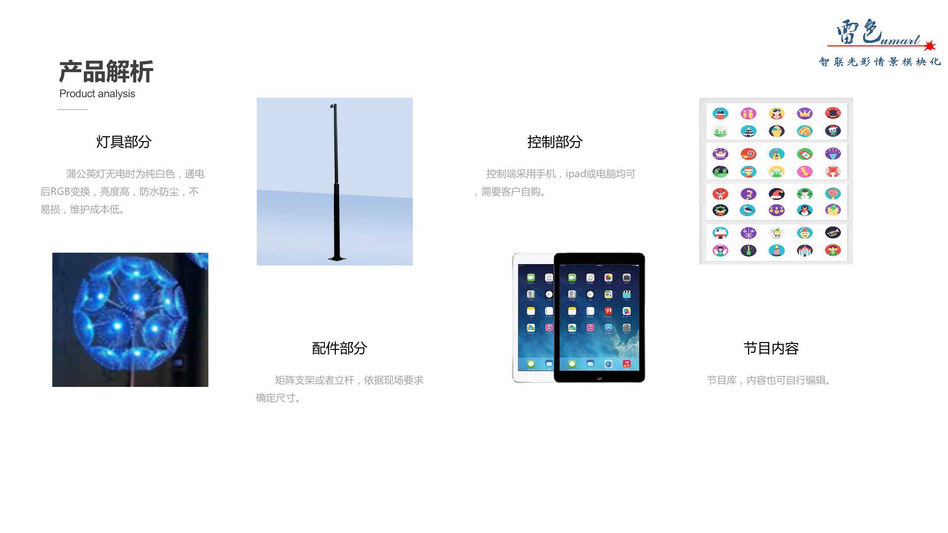 蒲公英(圖5)