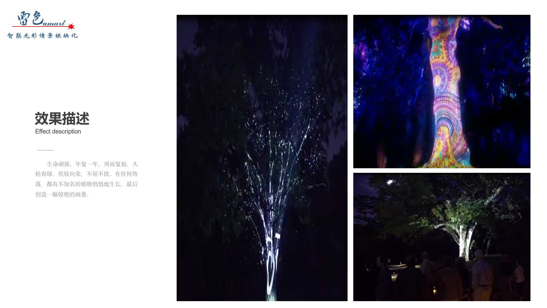 植物生長(圖4)